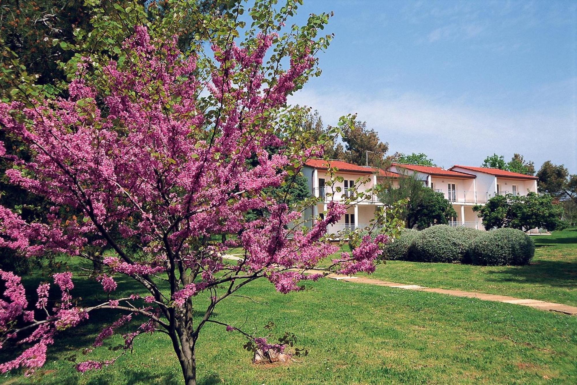 Ai Pini Medulin Resort מראה חיצוני תמונה